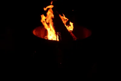 DSC_9883 (Large).JPG